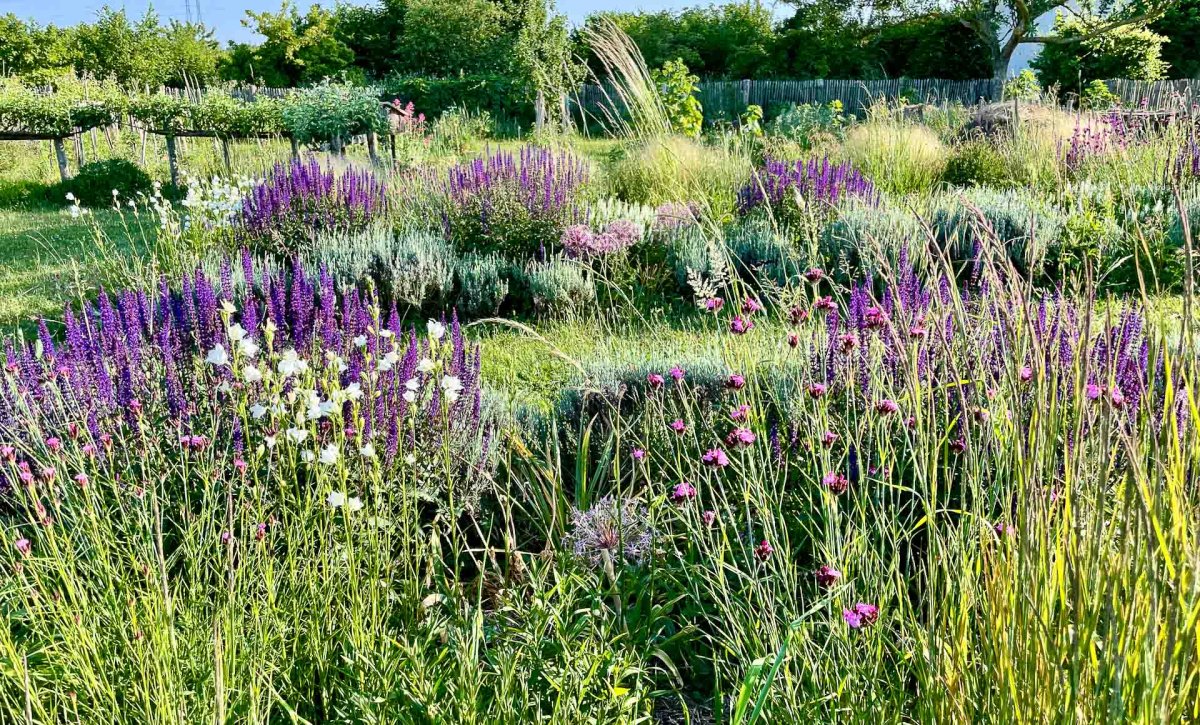 Le jardin ornemental Le jardin