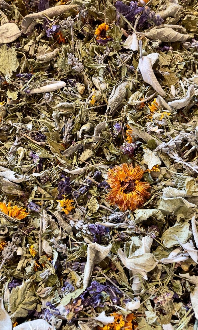 Tisane LA FORTICHE